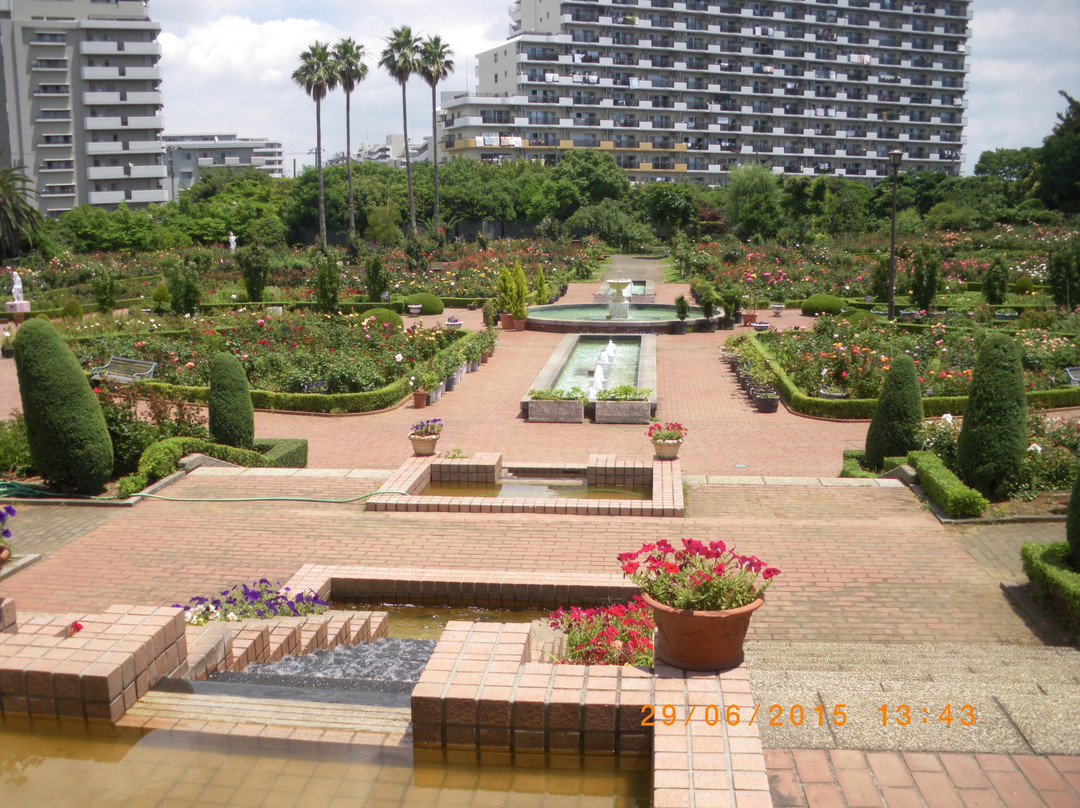 Yatsu Rose Garden-习志野市必去景点