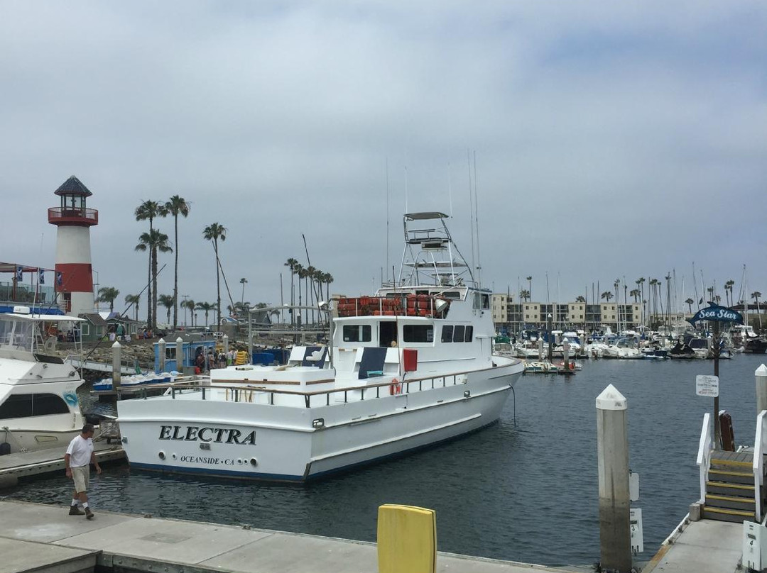 Oceanside Farmer's Market-欧申赛德必去景点