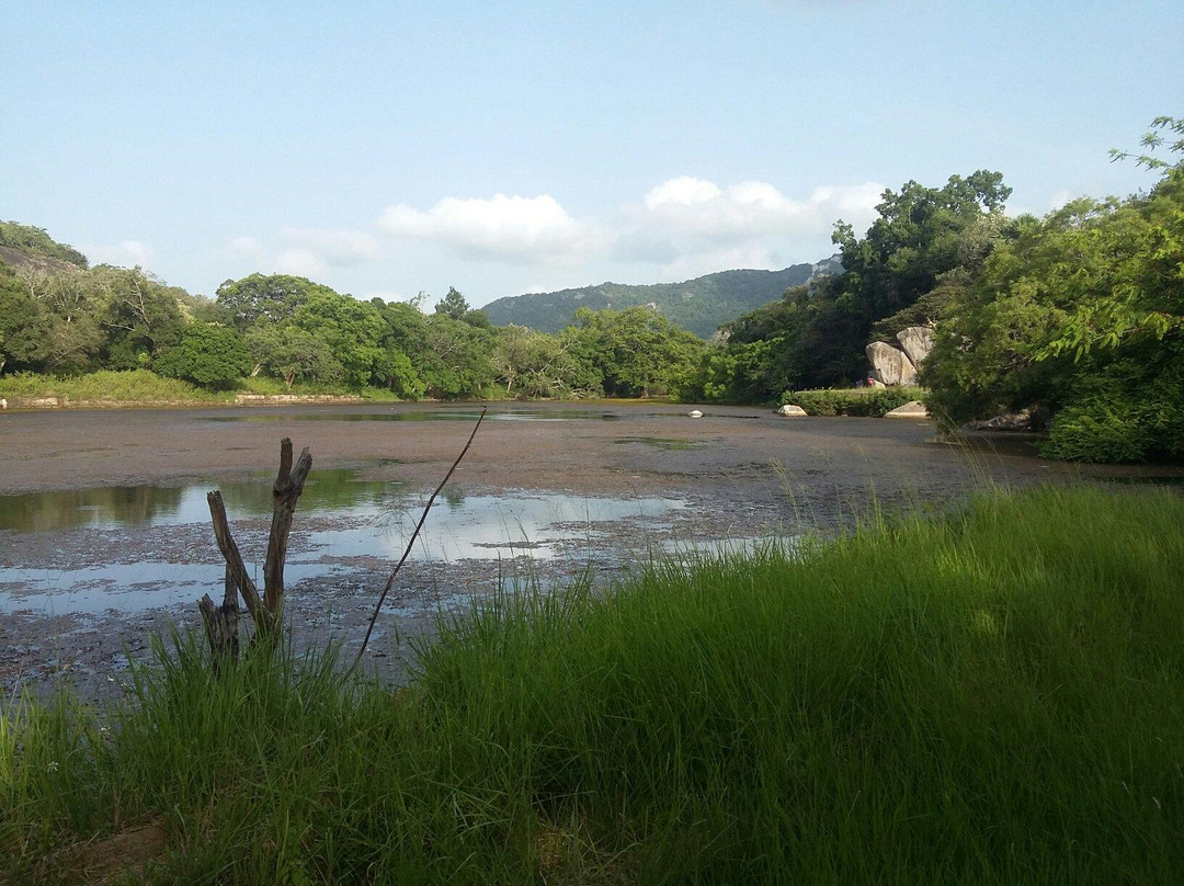 Kalu Diya Pokuna Natural Black Water Pond景点图片