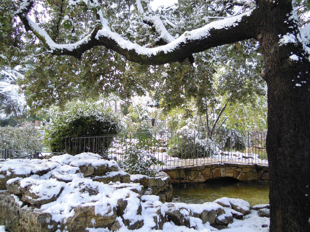 Parco Nemorense o Virgiliano-罗马必去景点