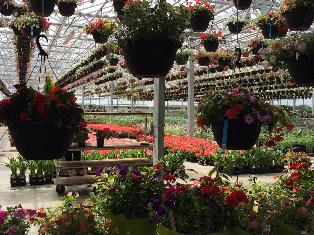 The Enjoy Centre-圣艾伯特必去景点