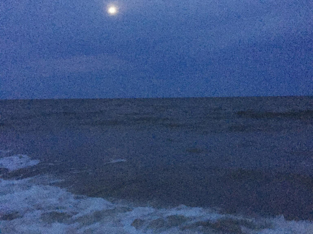 Folly Field Beach Park-希尔顿头岛必去景点