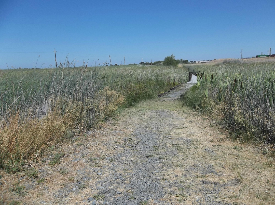 Dow Wetlands Wildlife Habitat Preserve-安条克必去景点