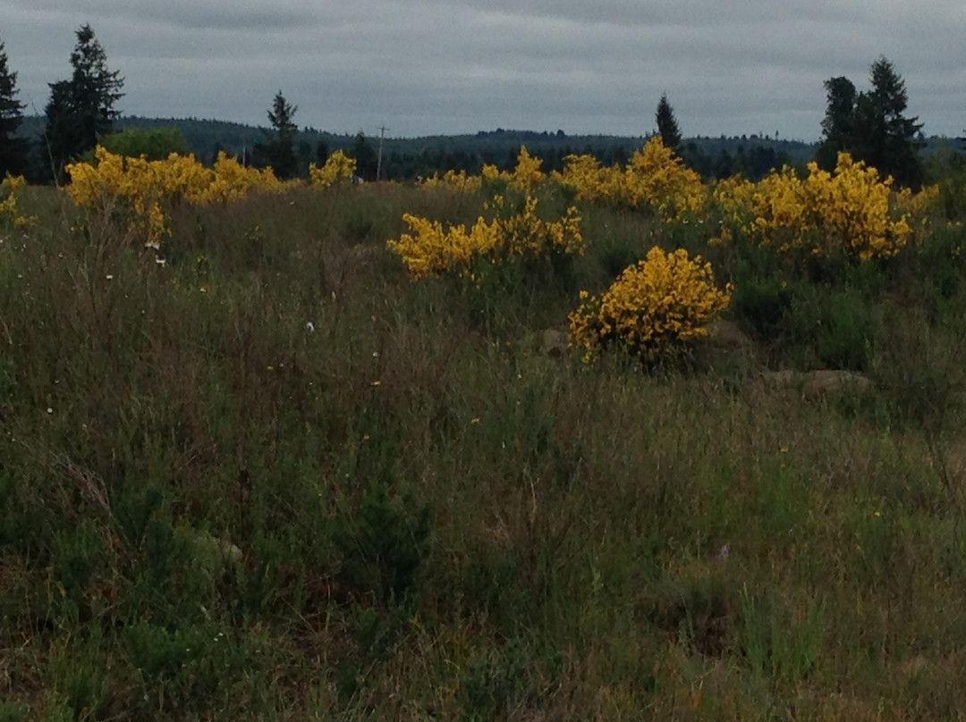 Mima Mounds Natural Area Preserve-奥林匹亚必去景点