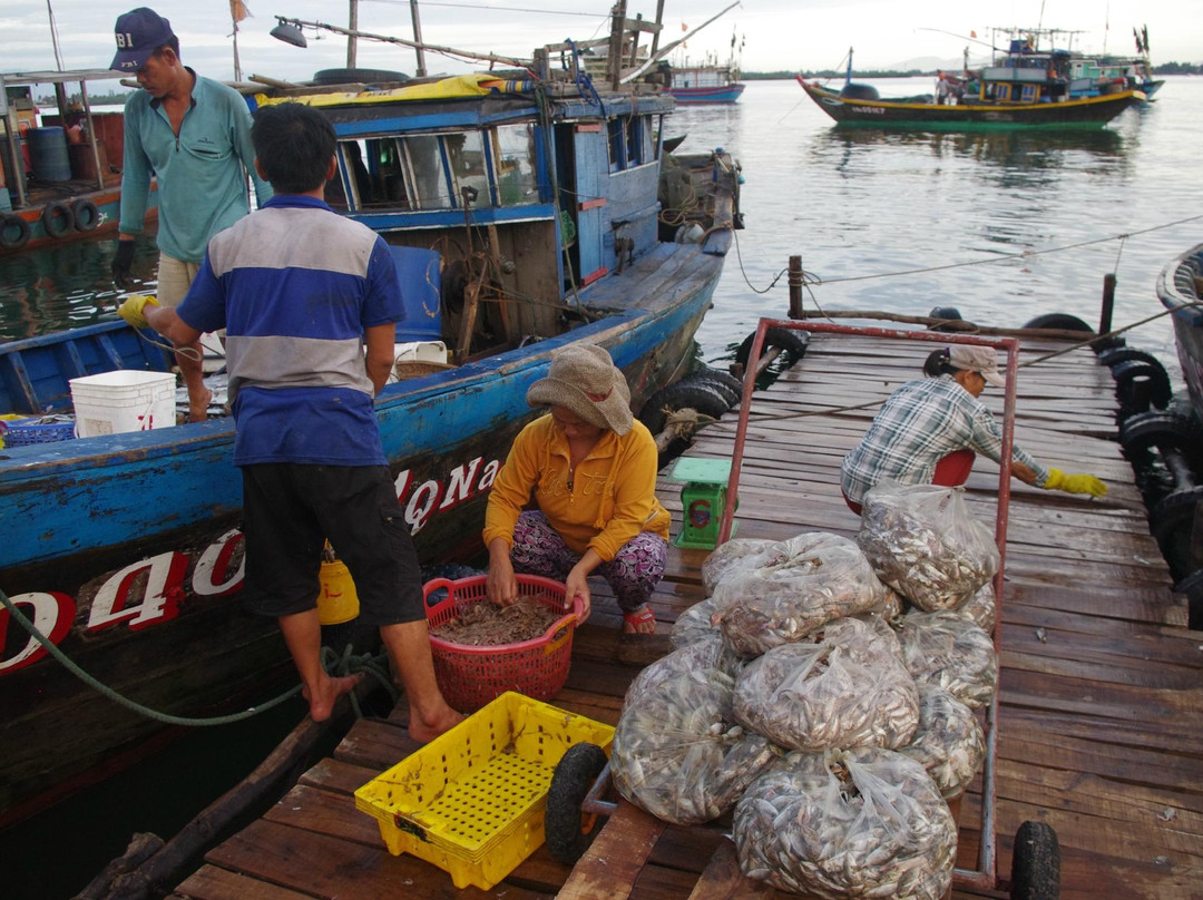 Tra Nhieu Fishing Village景点图片