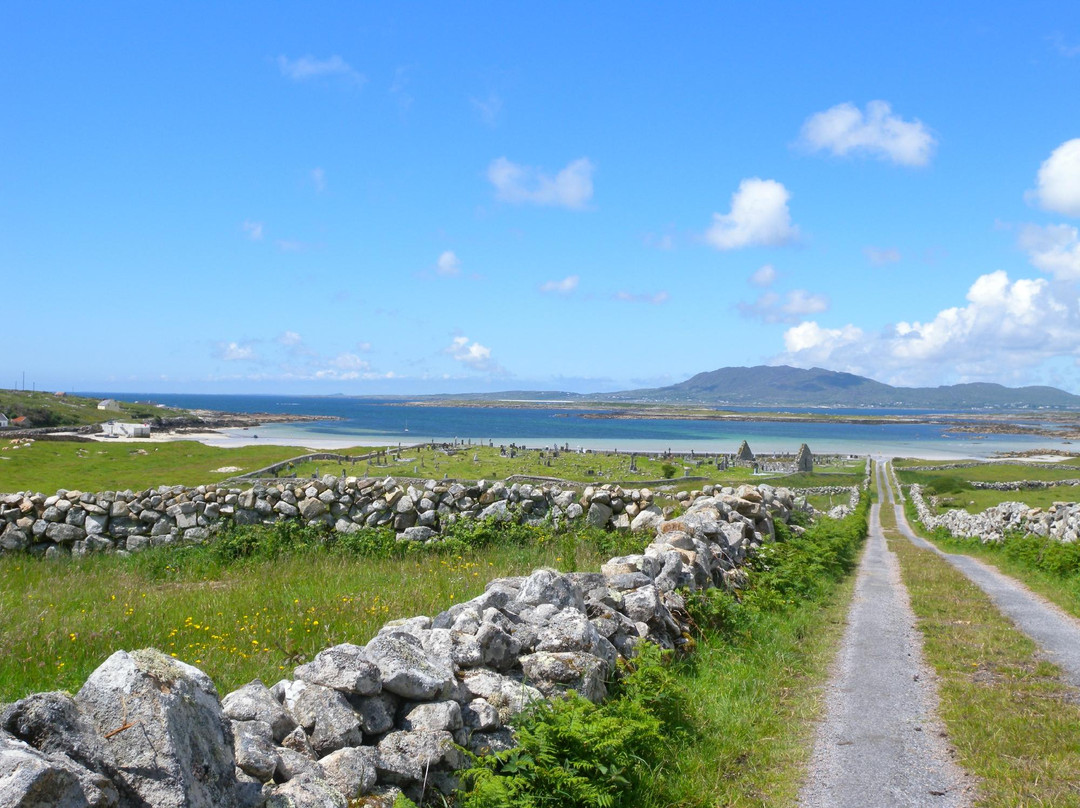 Wild Atlantic Adventures Ltd. - Day Tours景点图片
