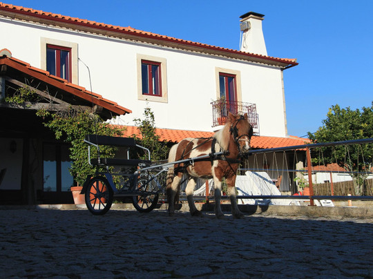 Paredes de Coura酒店住宿-Casa Paz do Outeiro