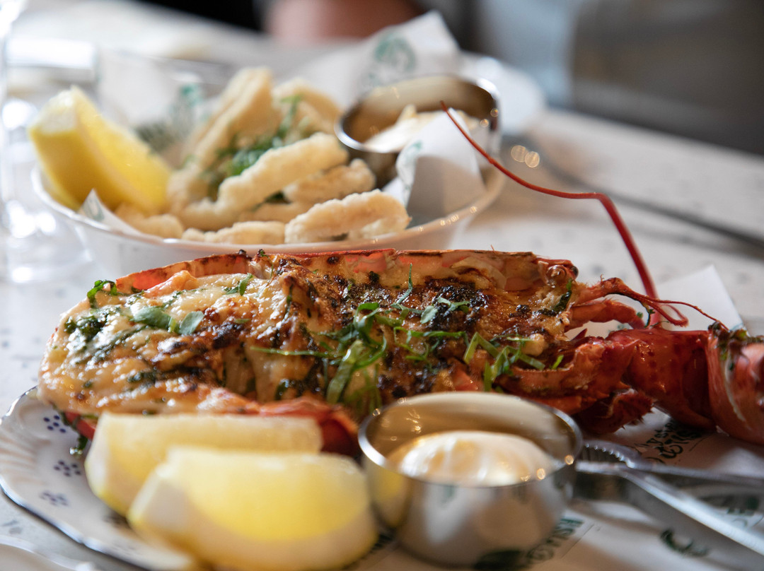 Oysters & Fish