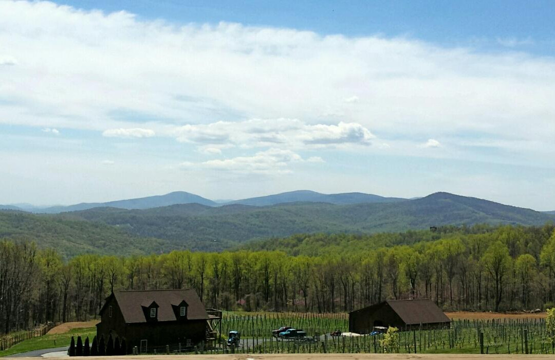 Fox Meadow Winery景点图片