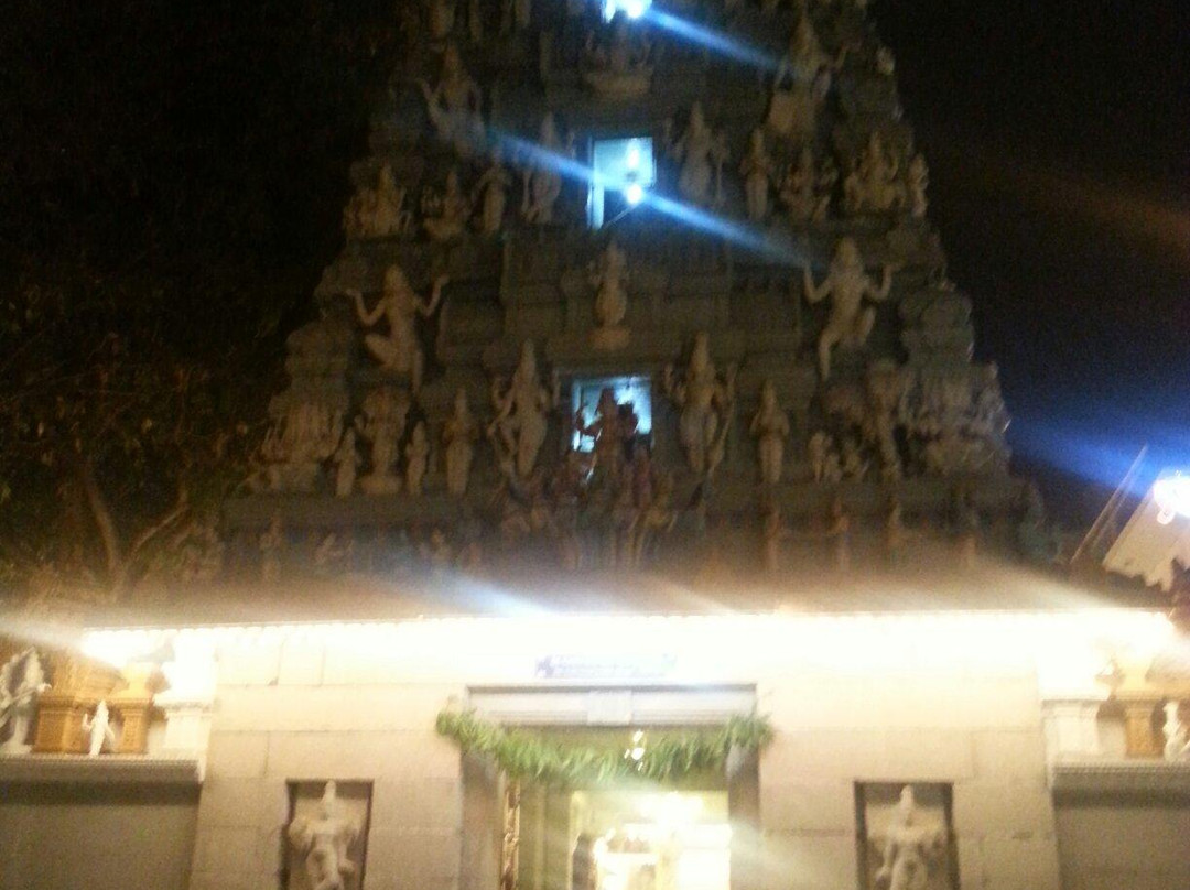 Sree Surya Narayana Swamy Temple景点图片
