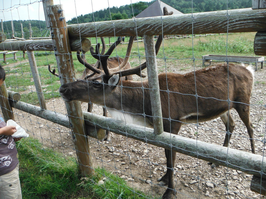 Reindeer Ranch景点图片