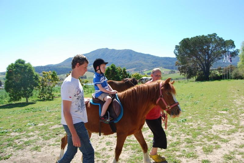 Pony Joy Rides-惠灵顿必去景点