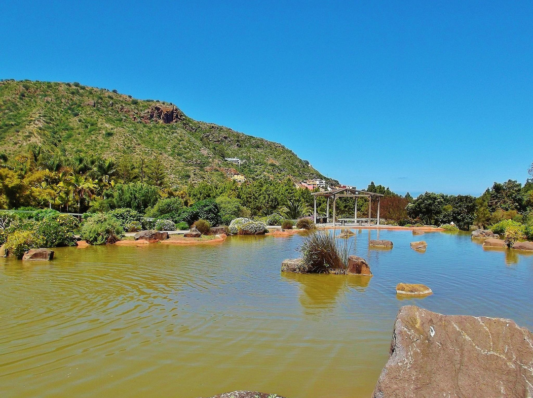 Jardín Botánico Viera y Clavijo景点图片