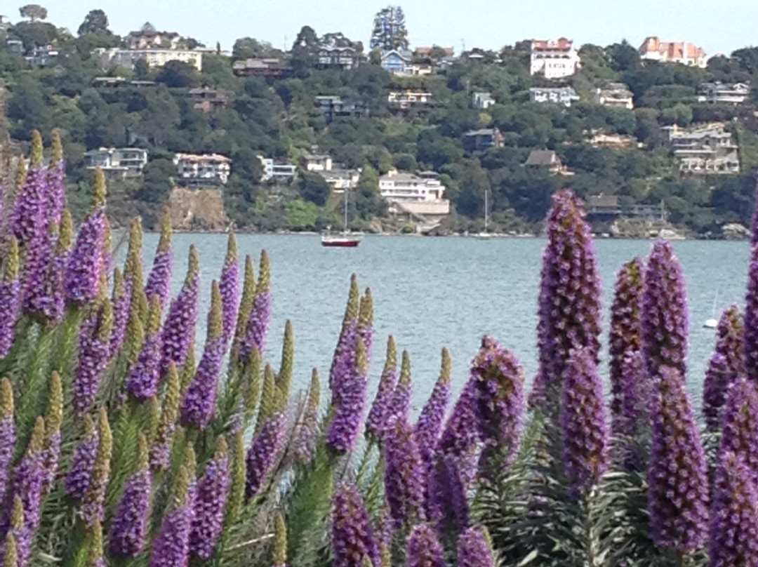 NorCal Destinations Private Day Tours-安条克必去景点