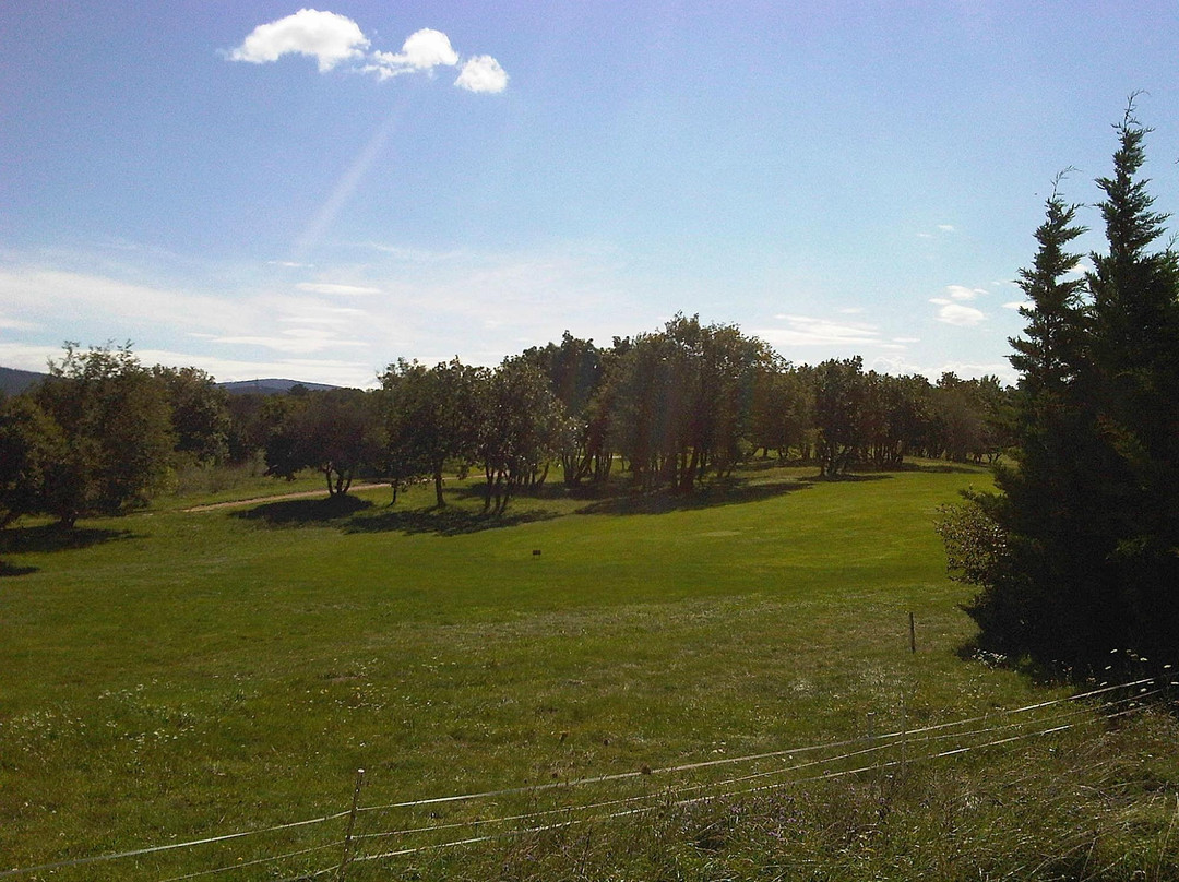 Golf Club Trieste景点图片