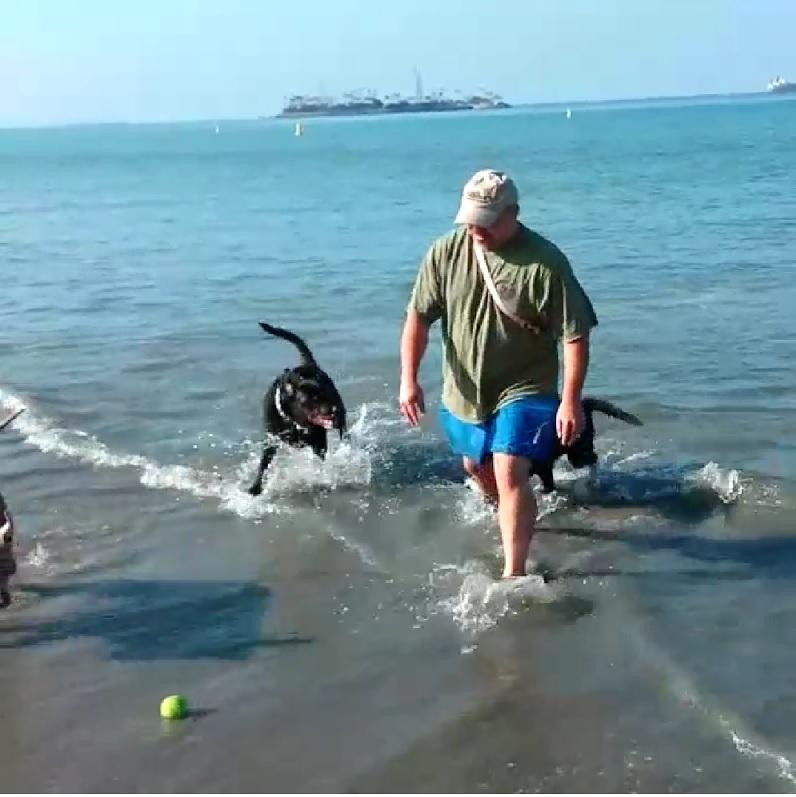 Rosie's Dog Beach-长滩必去景点