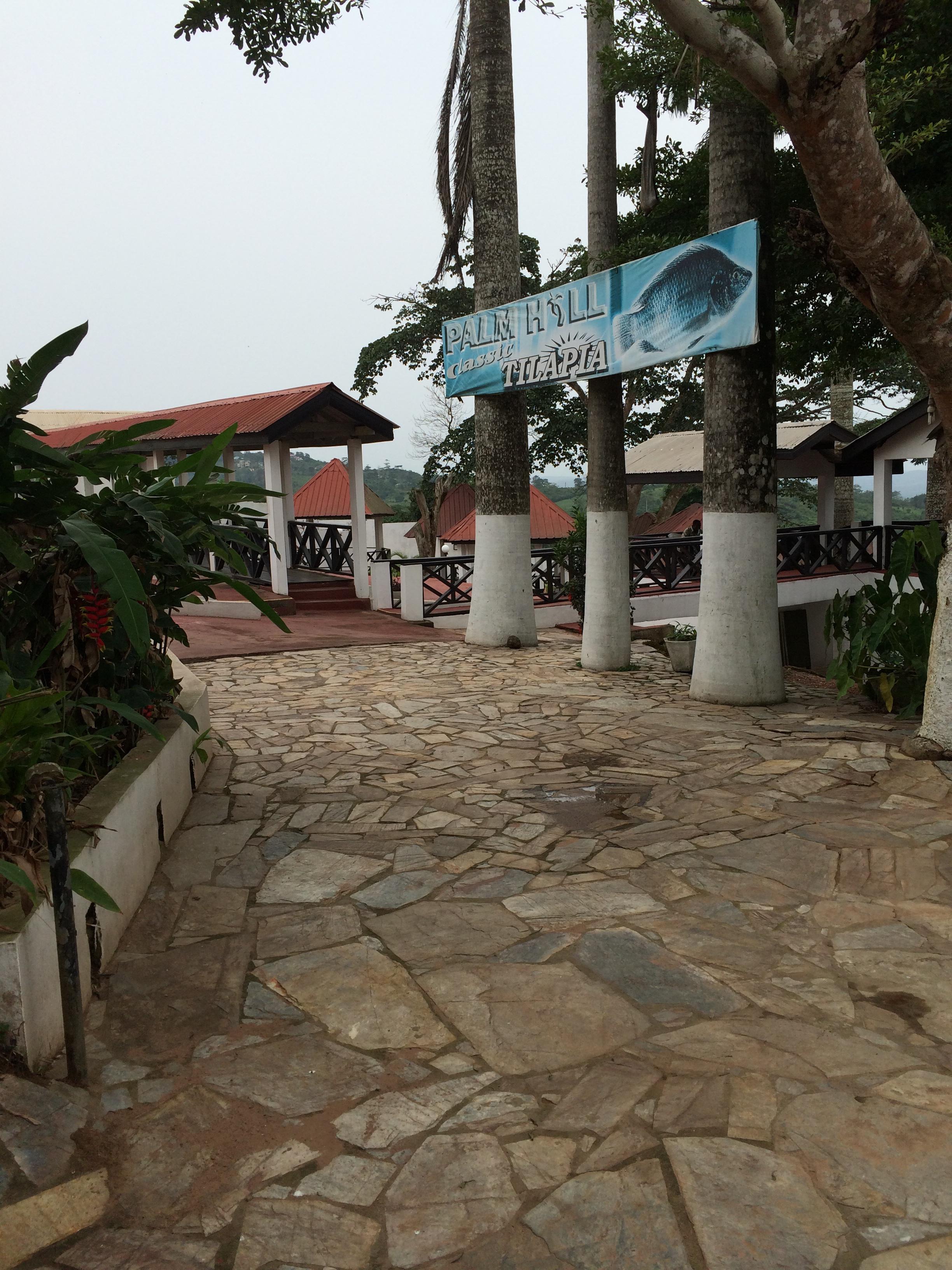 Palm Hill Hotel-客卧