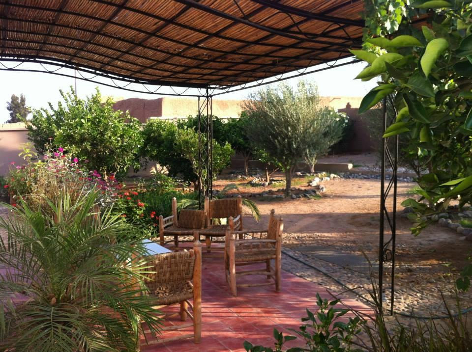 Tiout酒店住宿-Dar Zwina