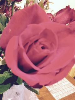 A Vintage Bloom-芝加哥必去景点