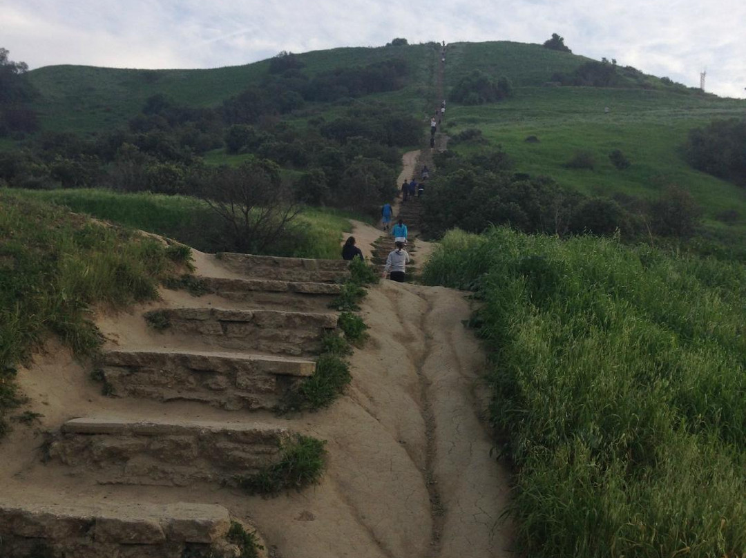 Baldwin Hills Scenic Overlook-卡尔弗城必去景点