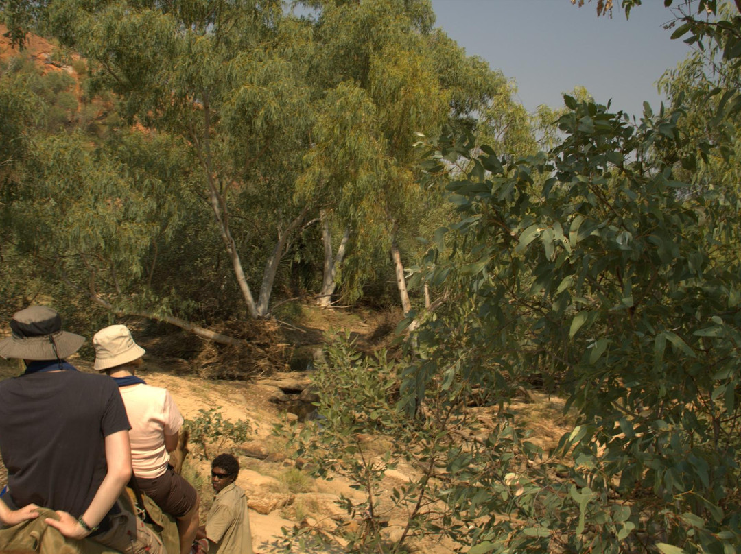 Kimberley Dreamtime Adventure Tours景点图片