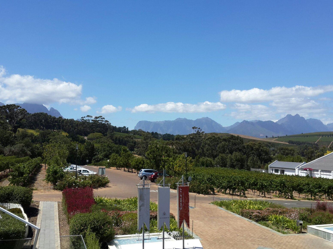 House of J.C. Le Roux-斯泰伦博斯必去景点