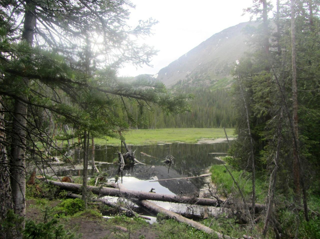 Spruce Creek Trail-布雷肯里奇必去景点