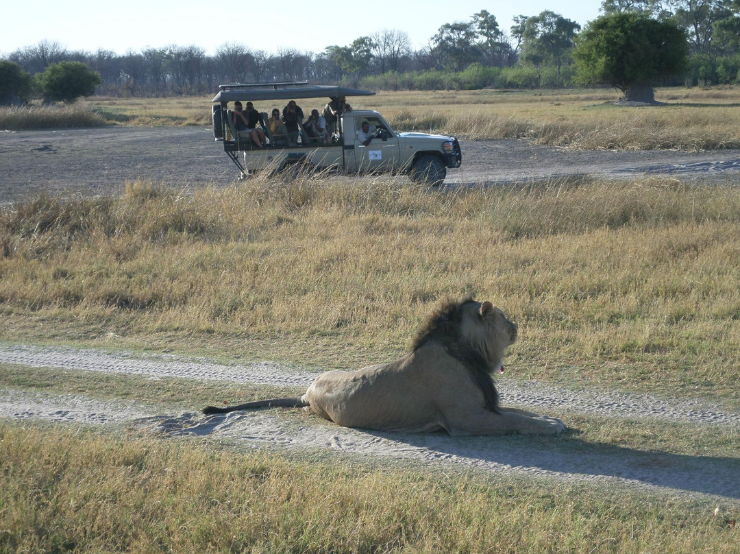 Kiboko Adventures-开普敦中心区必去景点