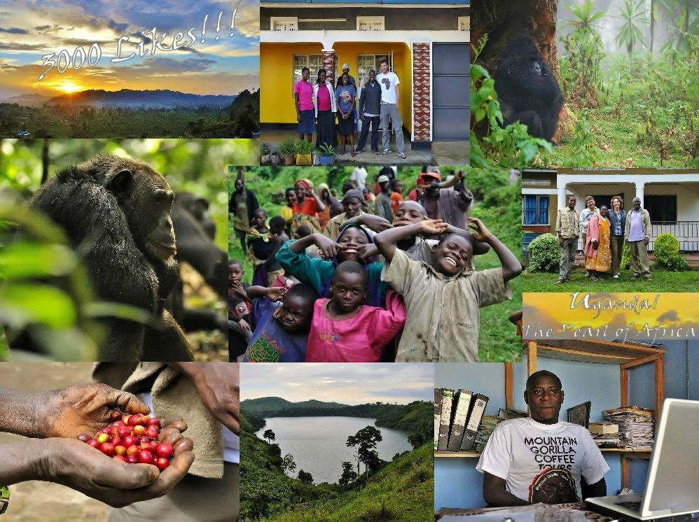 Mountain Gorilla Coffee Tours-Kisoro必去景点