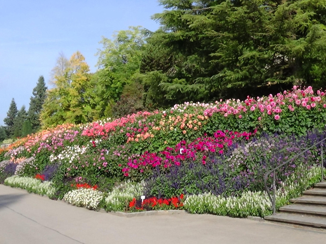 Mainau Erlebniswald-康士坦茨必去景点