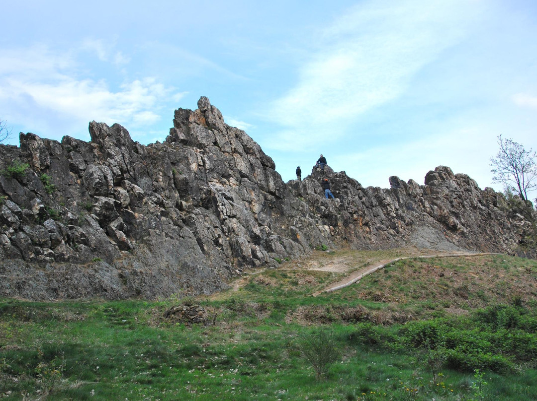 Landgasthof Eschbacher Katz主图