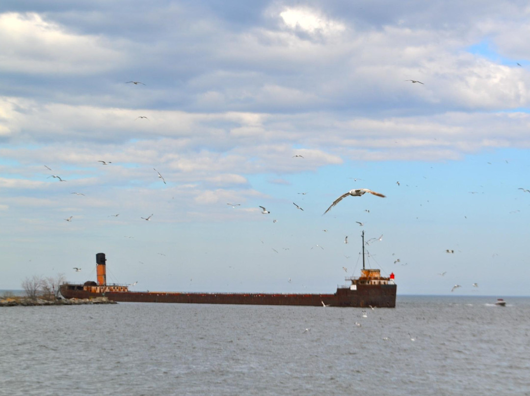 J.C. Saddington Park-米西索加必去景点