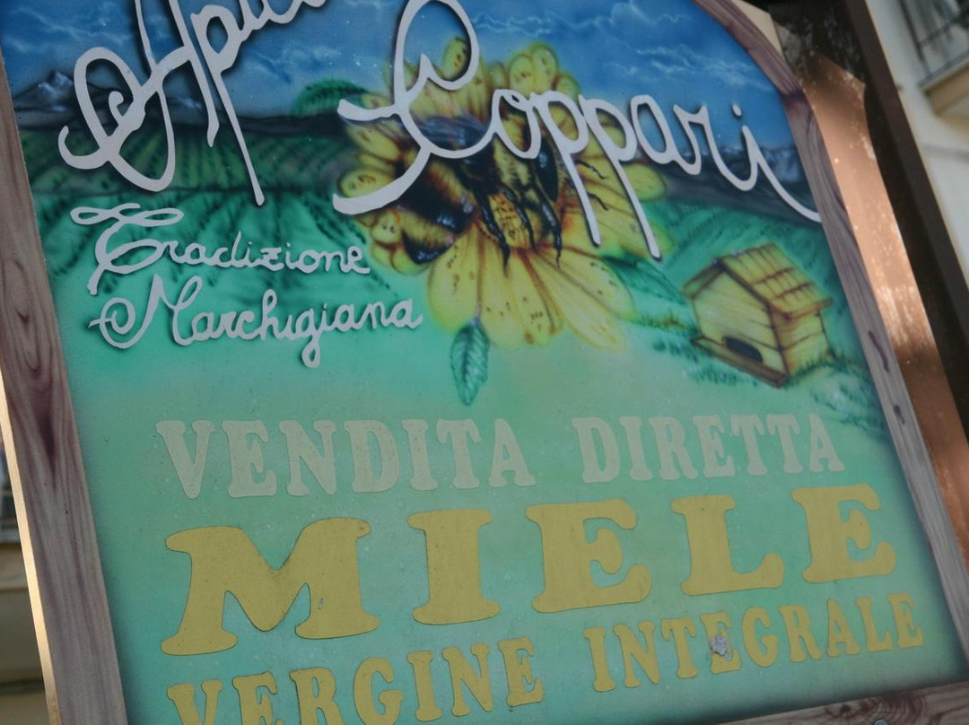 Apicoltura Coppari-Chiaravalle必去景点