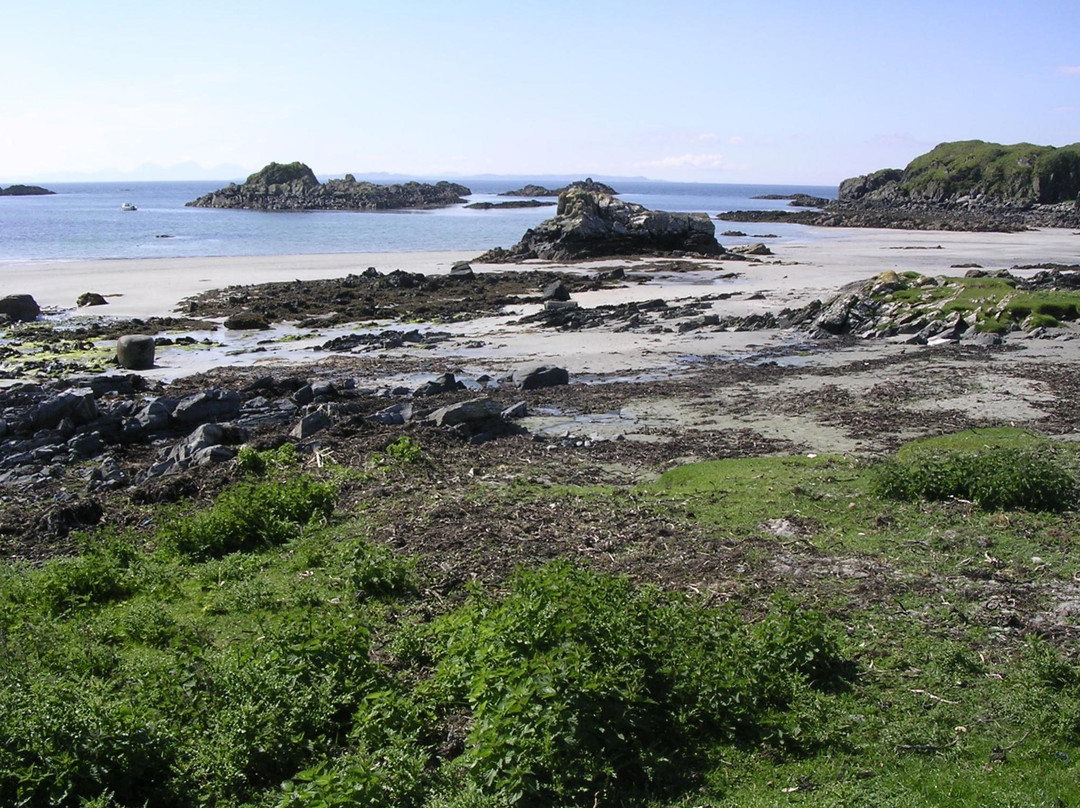 Wild About Mull Wildlife Tours景点图片