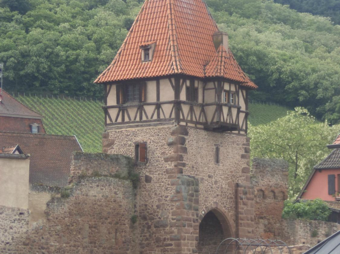 Tour des Sorcières景点图片