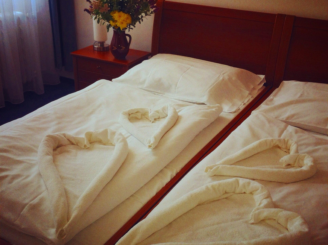 Horka nad Moravou酒店住宿-Best Hotel Garni