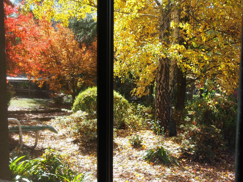 Forest Lodge Chalets主图