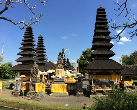 巴厘岛日间徒步游-水明漾必去景点