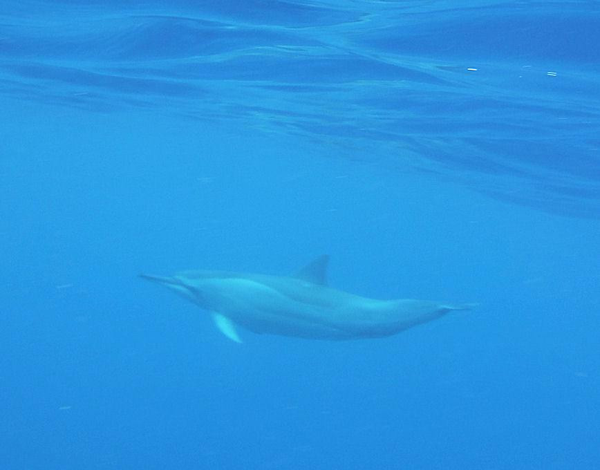 My Kona Adventures-基亚拉凯库亚必去景点