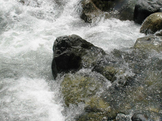 Hikawa Kokusai Masu Fishing Site-奥多摩町必去景点