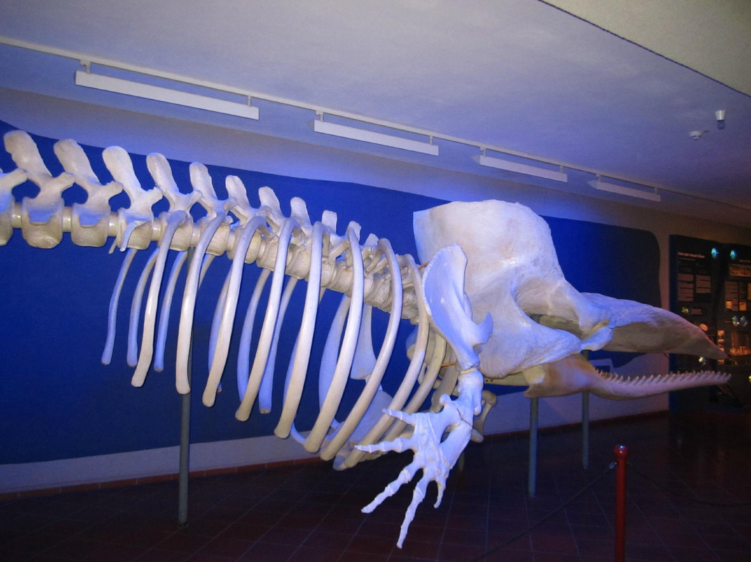 Aquazoo Loebbecke Museum-杜塞尔多夫必去景点