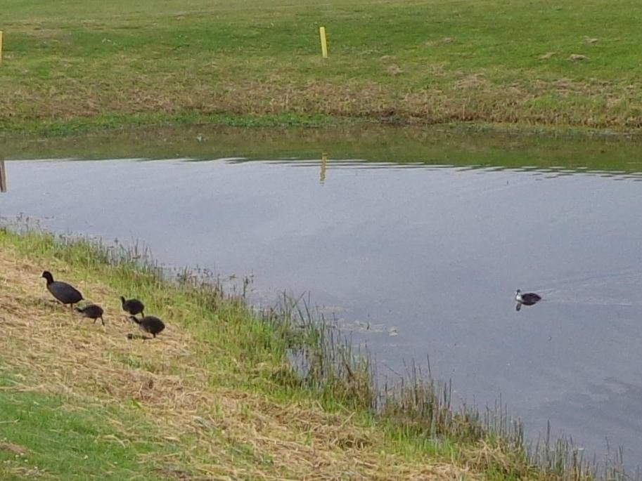 Samsø Golf Club-萨姆索岛必去景点