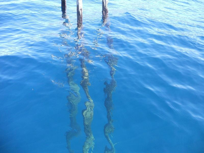 Bosque Sumergido-Villa Traful必去景点