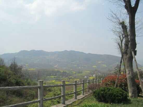定军山景点图片