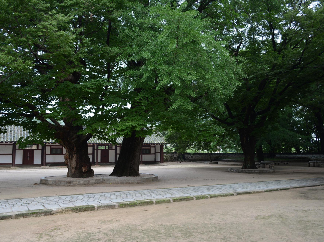 Sungkyunkwan University-Kaesong必去景点