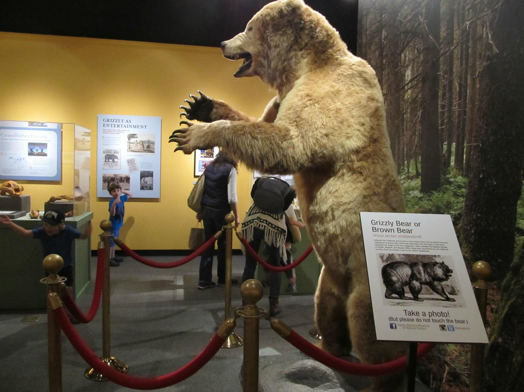 圣巴巴拉自然历史博物馆-圣巴巴拉必去景点