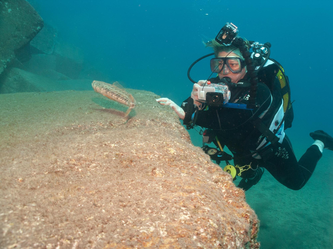 Amarilla Divers-Los Abrigos必去景点