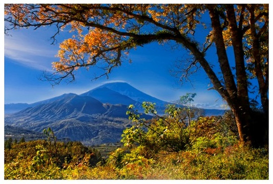 Bagus Holidays - Day Tours-登巴萨必去景点