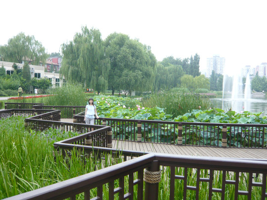 西城人定湖公园-北京市必去景点