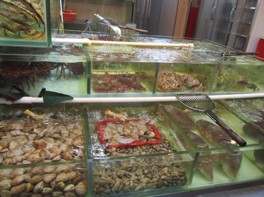 鲤鱼门鱼市-香港必去景点